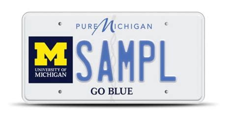 Blue over ‘G0BLUE’: University of Michigan grad sues after losing license plate